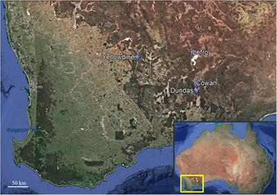 Microbial Communities in Sediments From Four Mildly Acidic Ephemeral Salt Lakes in the Yilgarn Craton (Australia) – Terrestrial Analogs to Ancient Mars